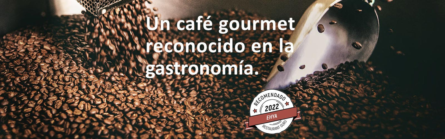 Recomendación Guru