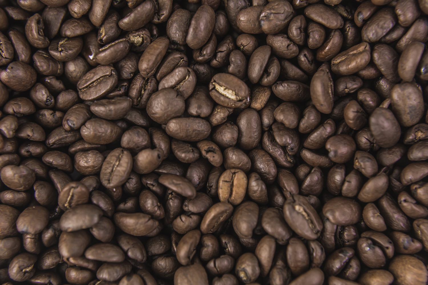 Chiapas Coffee Collection
